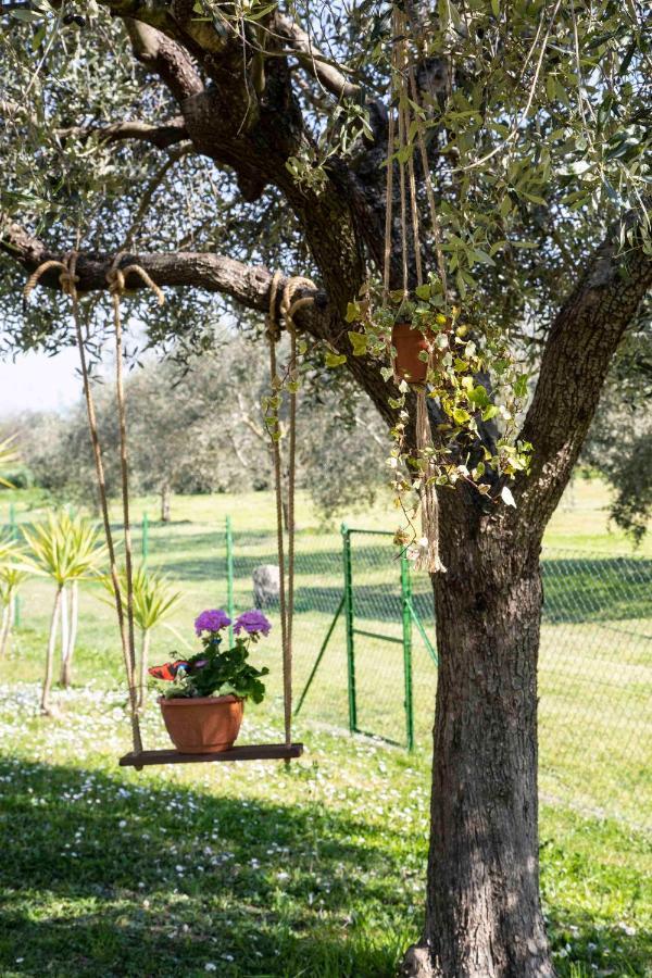 Casa Vacanze Oleandri Villa Ameglia Bagian luar foto